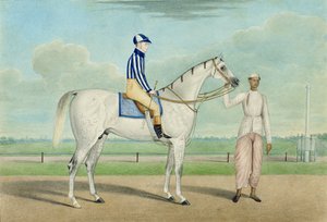 Renpaard met jockey en groom, Calcutta